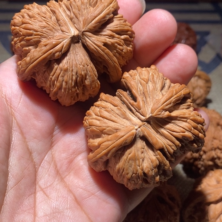 吊坠文玩核桃55白狮子球连