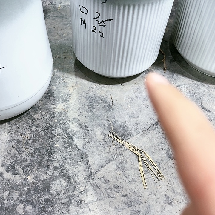 陶瓷陶瓷大花盆1