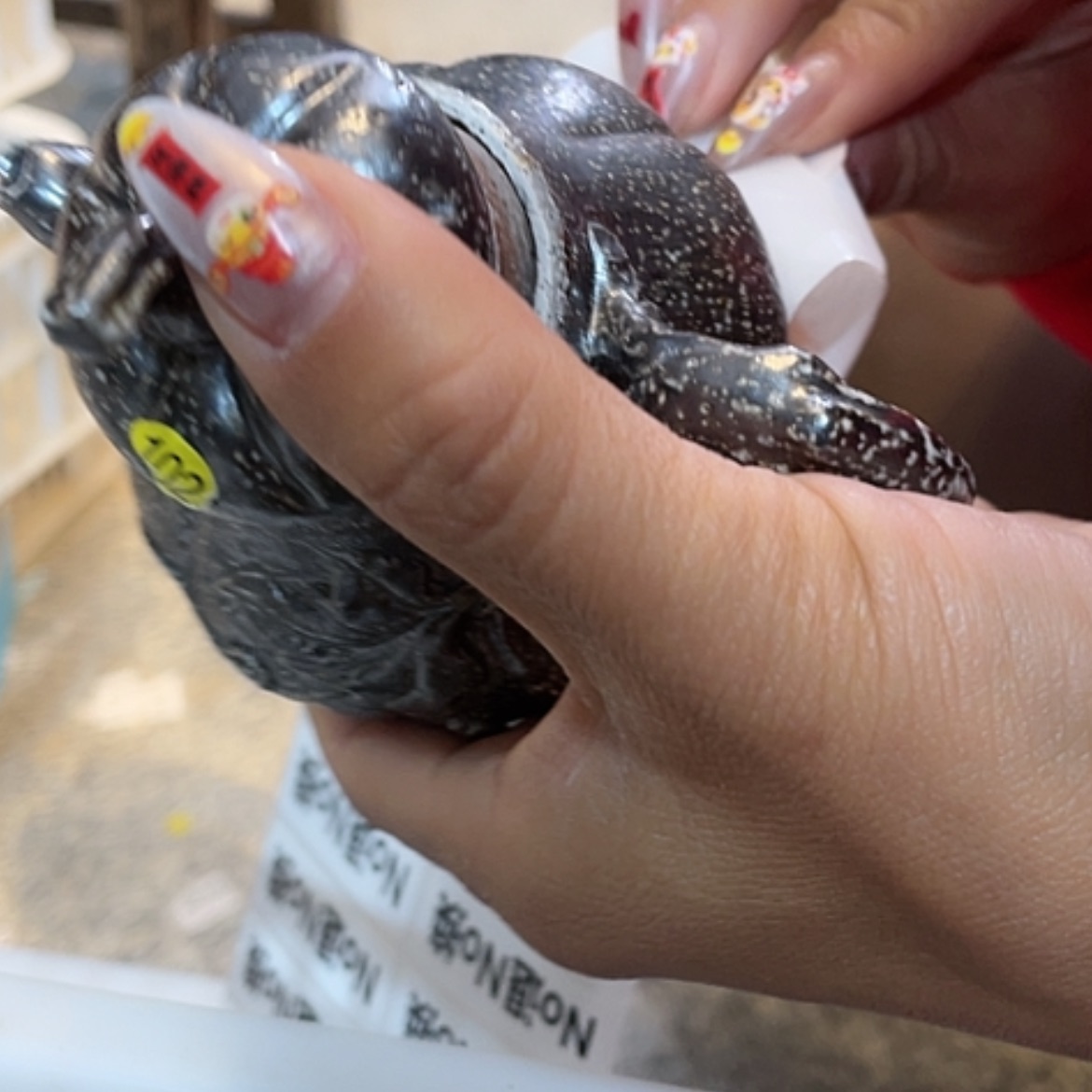 【闪购商品】瑕疵福利多多呀小可爱