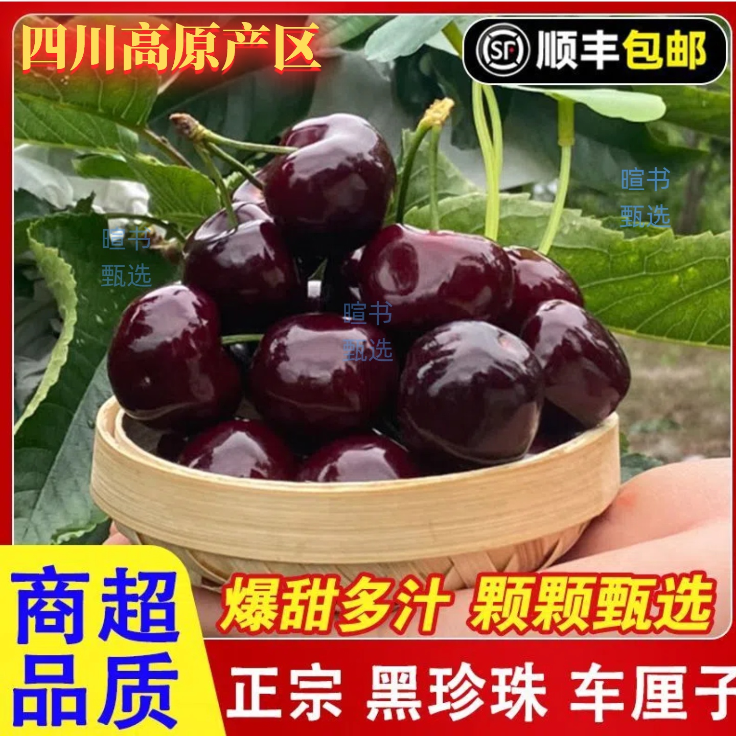 川渝【顺丰次日达】黑珍珠汉源新鲜车厘子非美早大樱桃现摘可口L1-3斤包邮汉源车厘子黑珍珠樱桃