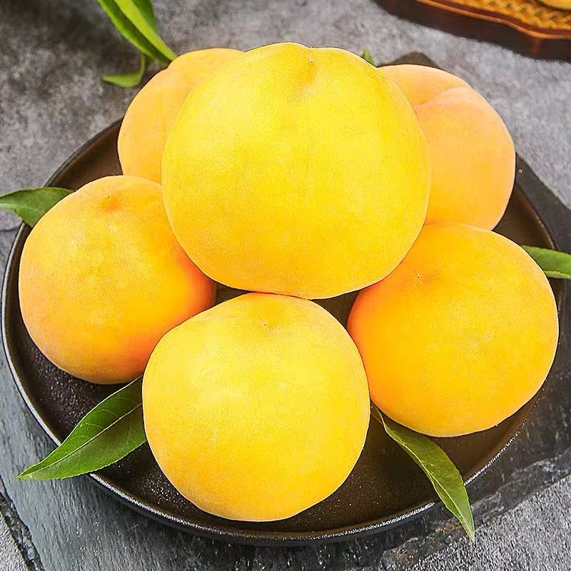 现摘黄桃应季新鲜应季水果香甜多汁4