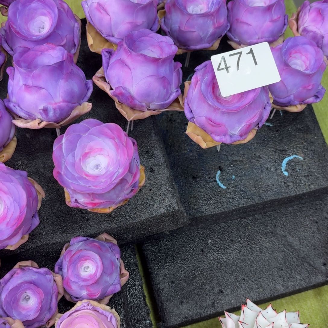 树脂471号哦哦哦哦哦哦哦