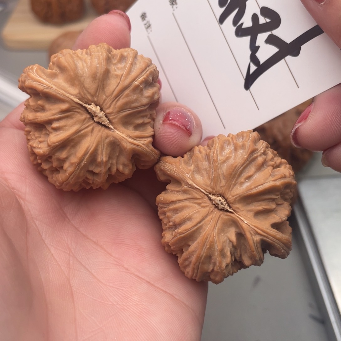 文玩核桃把件树*白狮子40