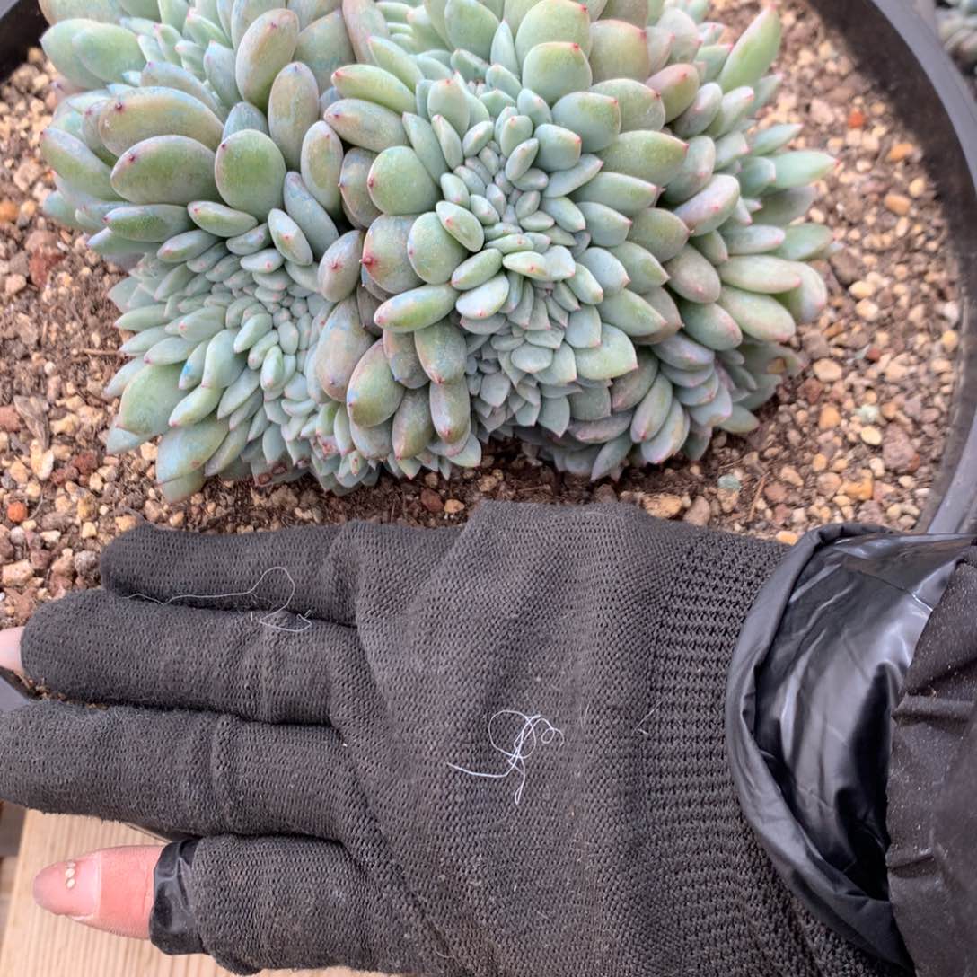 旺***?A759售后范围：签收起7天内，录开箱视频