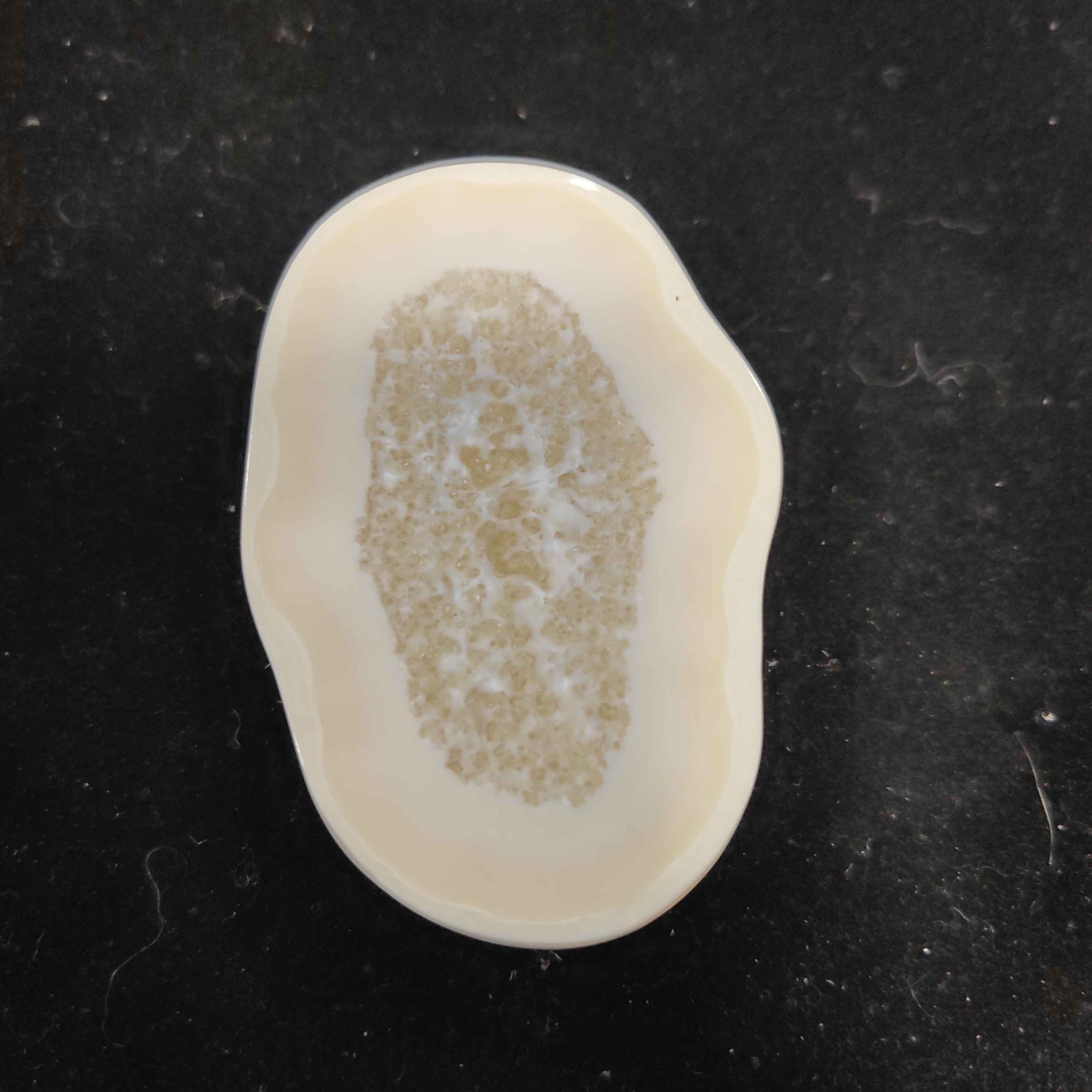 猛犸猛犸虬饼子WT468