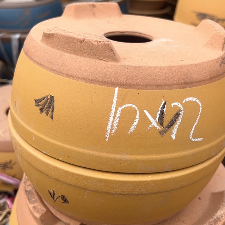 红陶紫砂碗盆口22