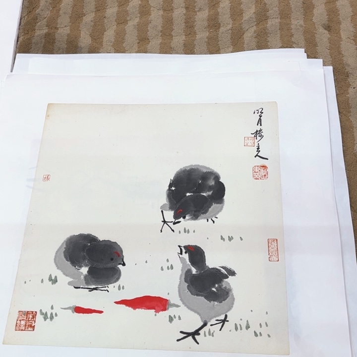 国画花鸟的翅膀和翅膀都是白色的