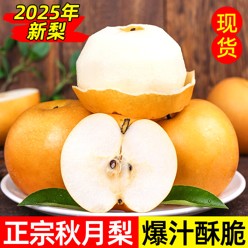 25山东莱西秋月梨产地树上采摘自然熟秋月梨应季水果清甜多汁包邮