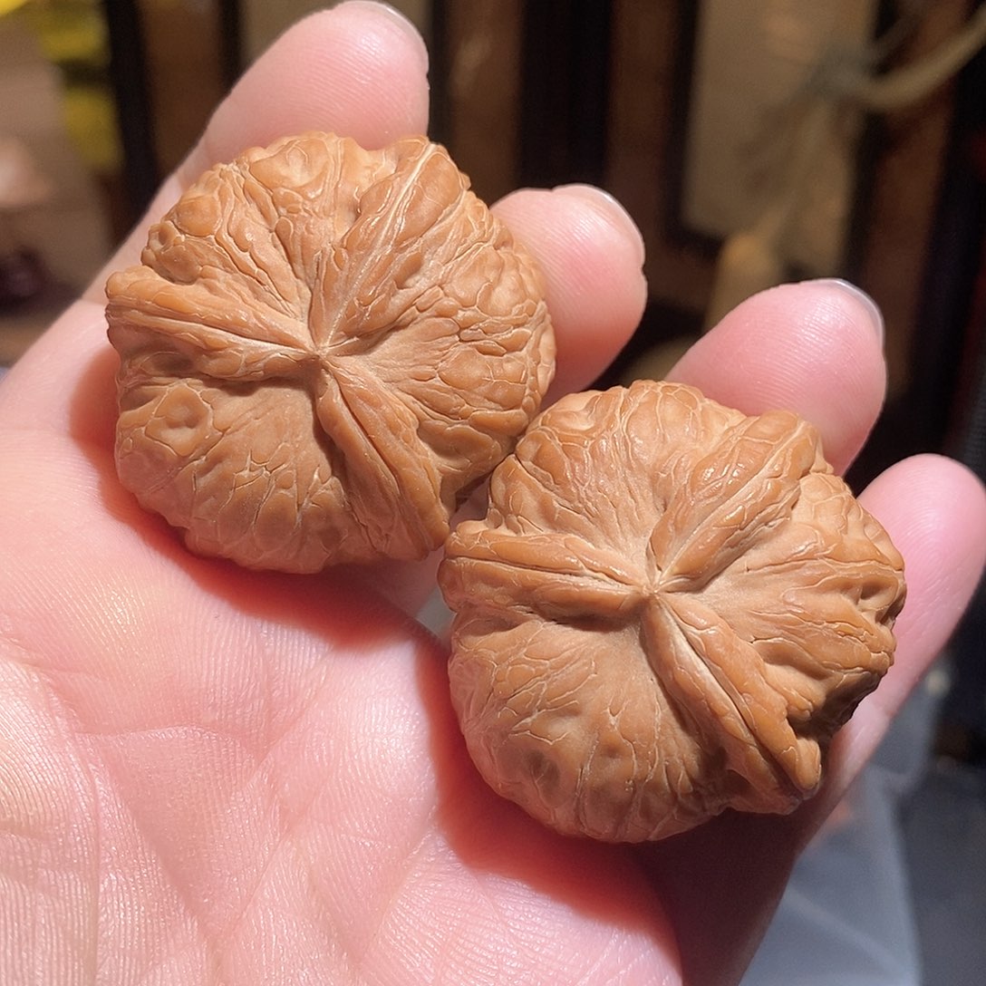 文玩核桃把件42元宝三棱全品