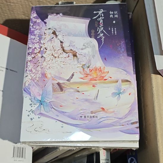 君有吉否平装库存书