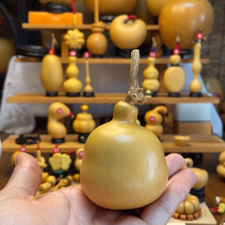 西***ง天然葫芦自然生长