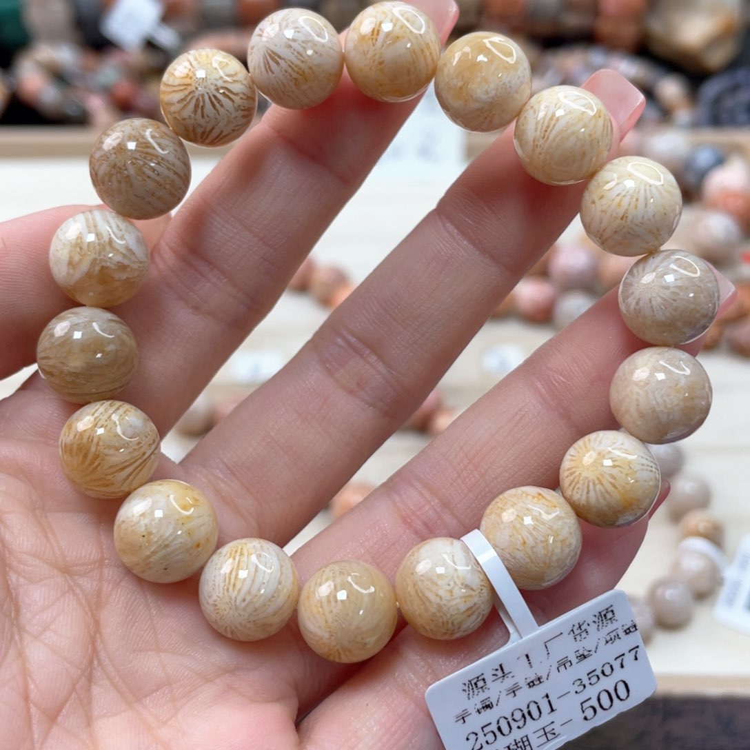 未镶嵌手链硅化珊瑚（珊瑚玉）N****9529