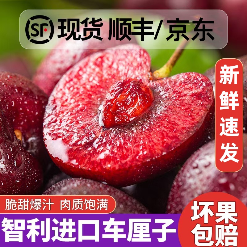25智利进口车厘子 瑞吉娜5新鲜水果斤J~4J海运大樱桃 内附果径卡