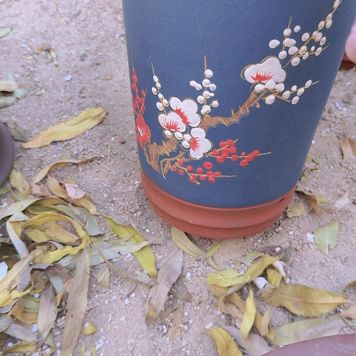 紫砂花盆花盆花盆a6