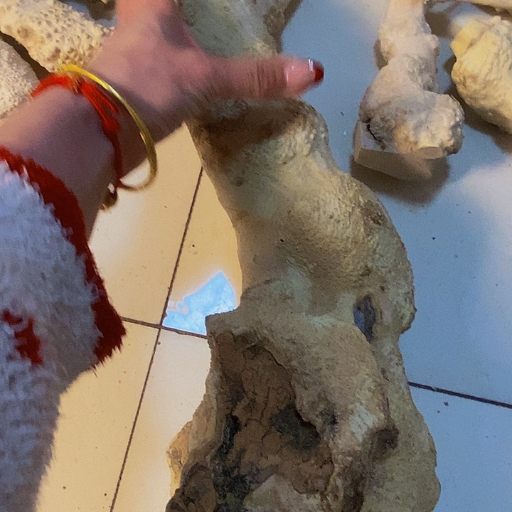 畲***居黄杨木等多种木材