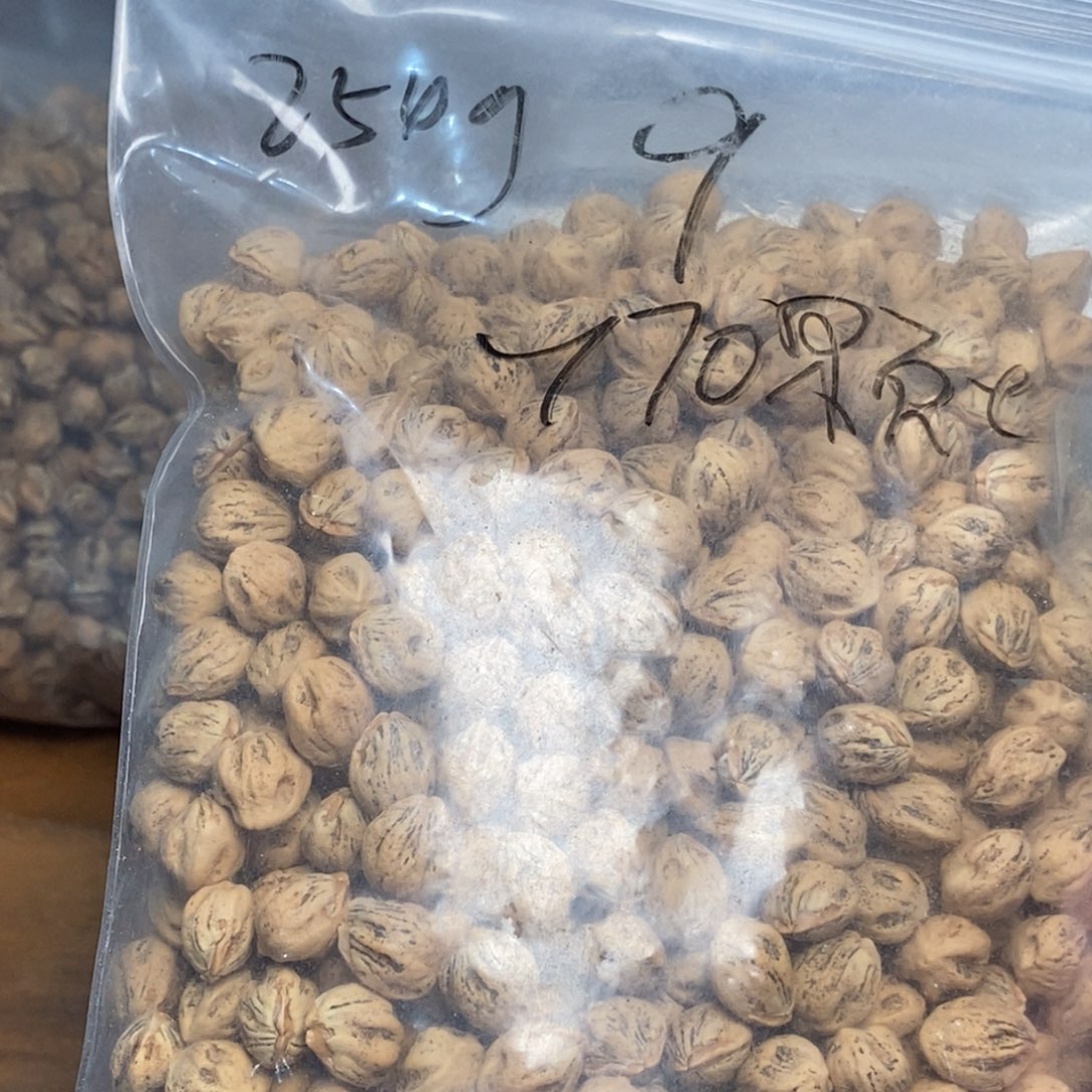 吊坠柏香籽/百香籽