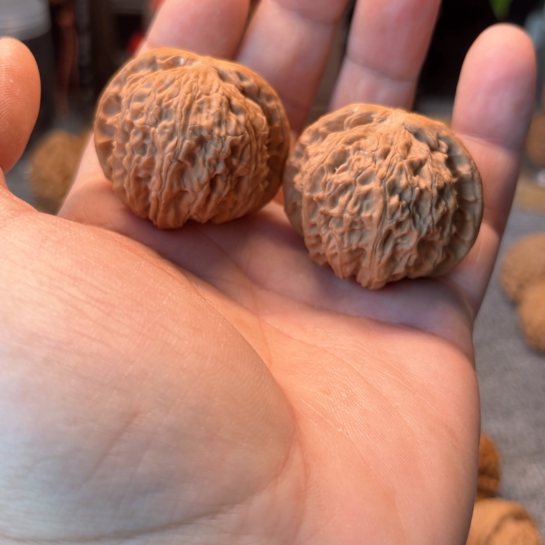 文玩核桃把件白狮子微修