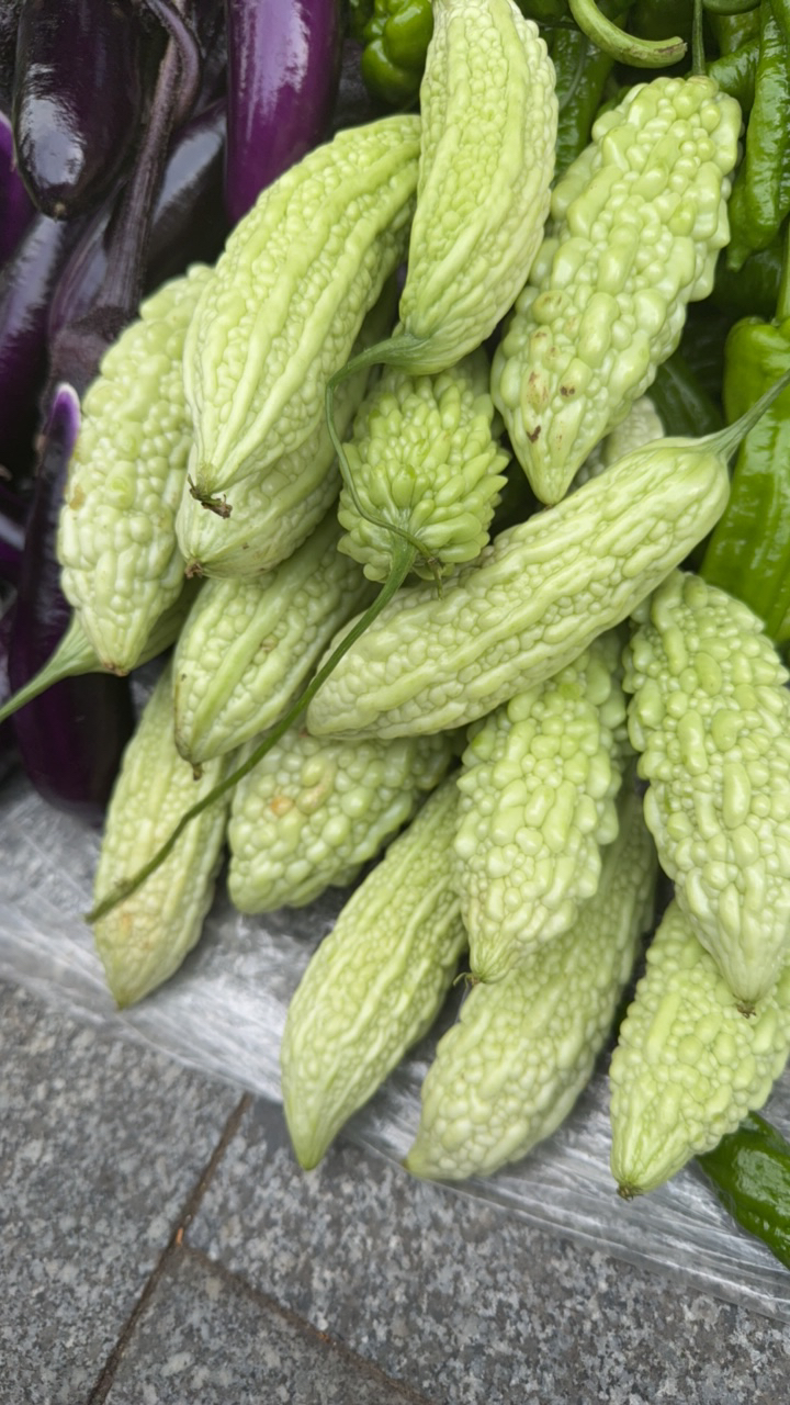 新鲜白苦瓜产地现摘当季农家菜