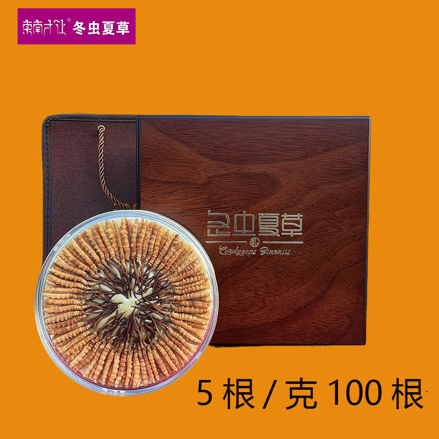 【索南才让】5根/克 100根2025头茬高海拔干冬虫夏草精选礼盒装