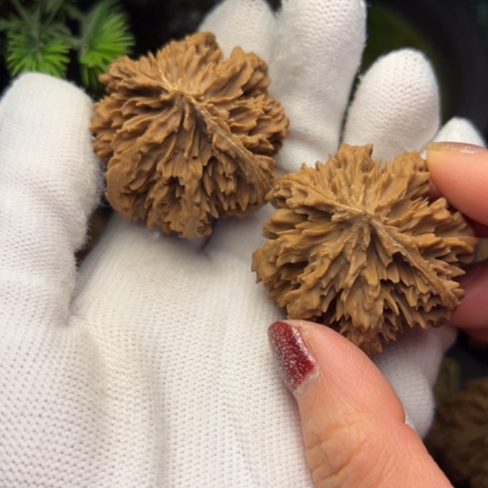 西***哥吊坠文玩核桃秦岭核桃12