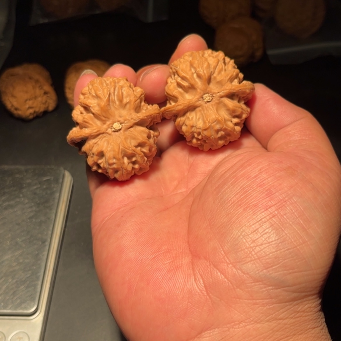 【闪购商品】@****宿文玩核桃木制手把件