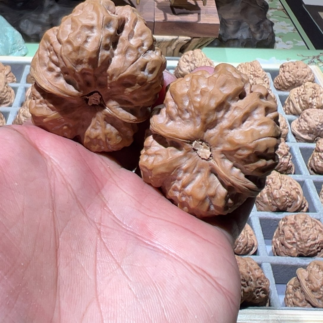 M***J菩提籽类文玩核桃蛤蟆头