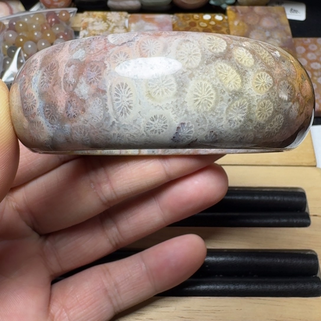 硅化珊瑚（珊瑚玉）纯天然色有机玉石未镶嵌61圈口