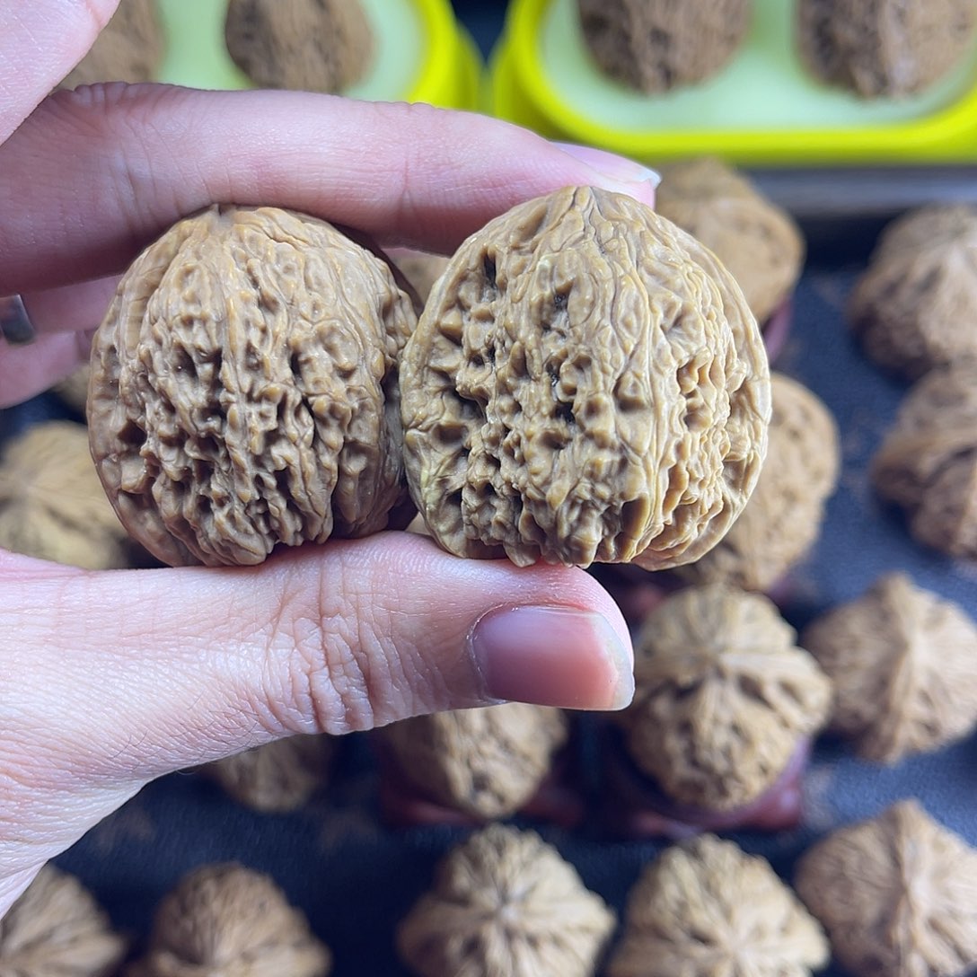 核桃南疆精品小对儿！