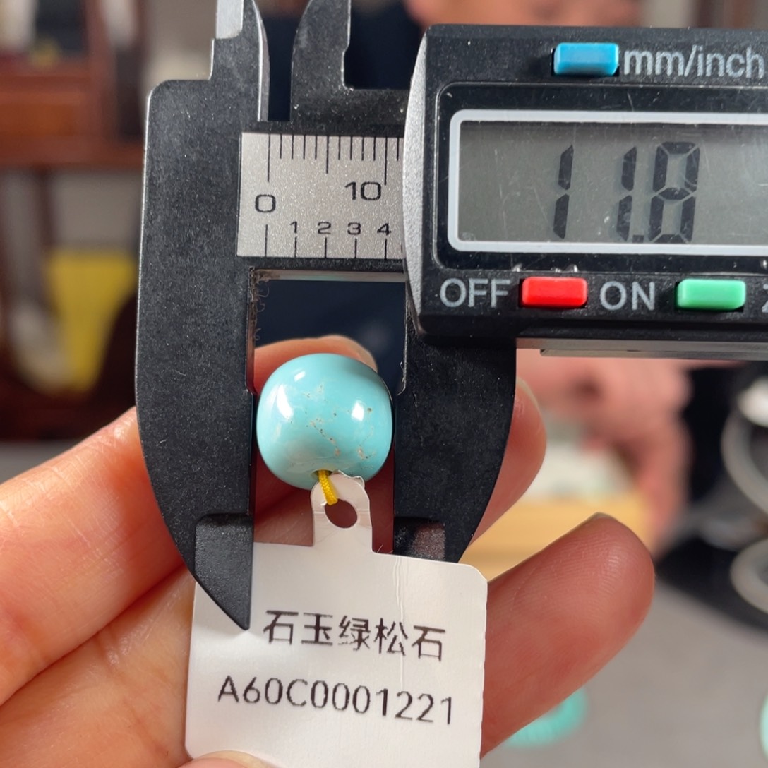 绿松石颈饰未镶嵌