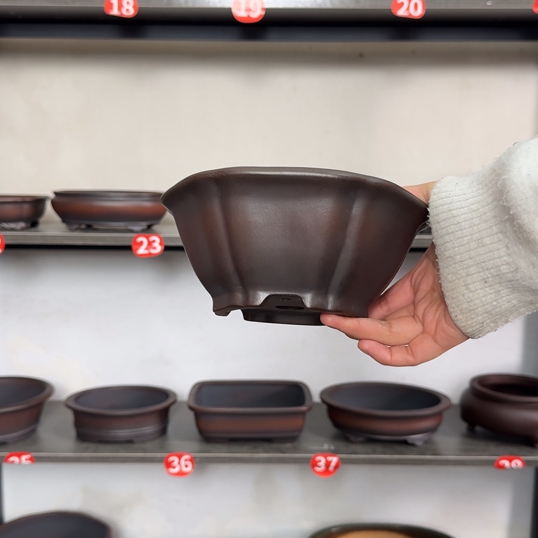 豆***子紫砂花盆哈哈哈哈