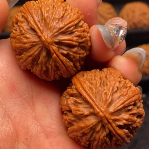 文玩核桃吊坠秦岭山脉核桃