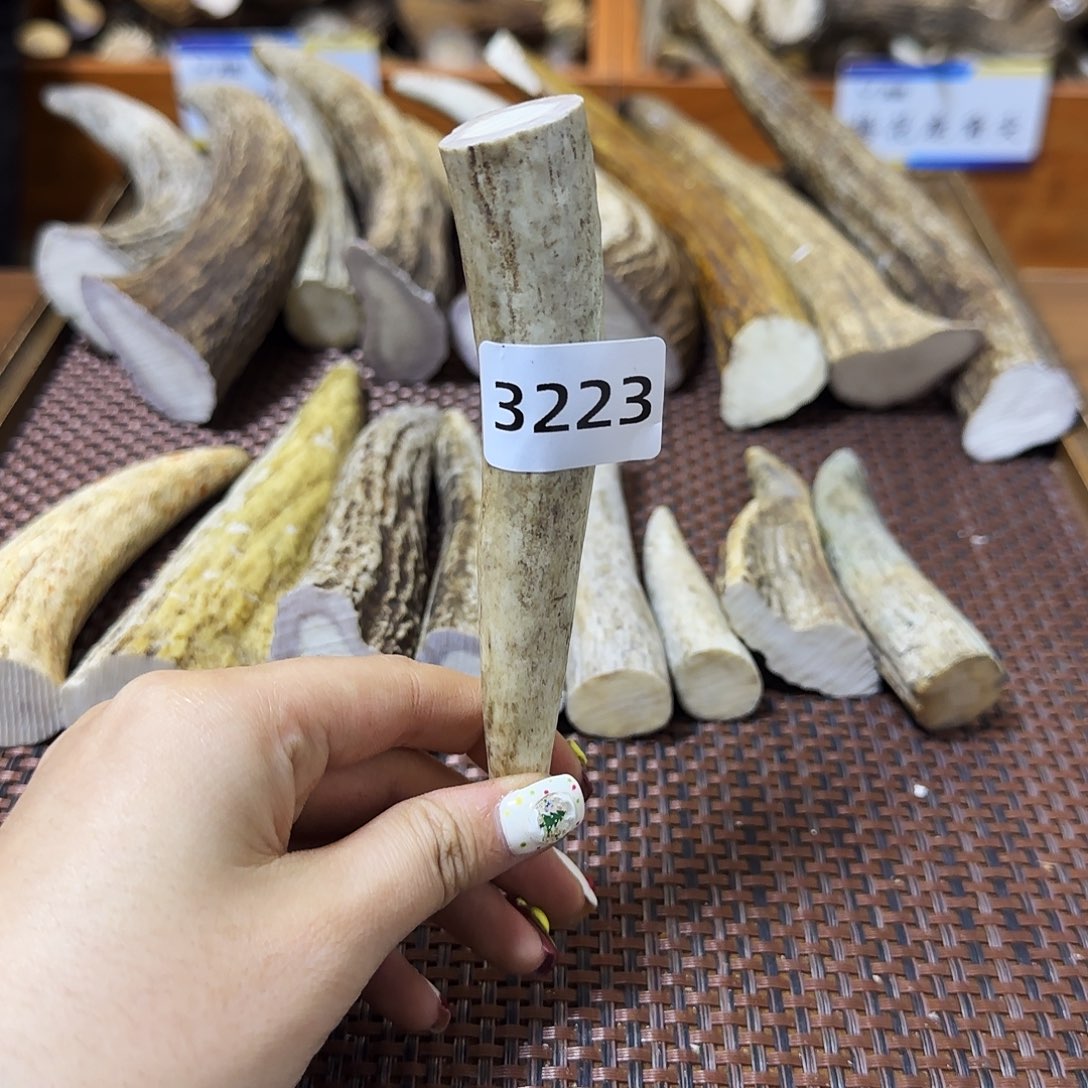 手串/手链鹿骨角尖3223