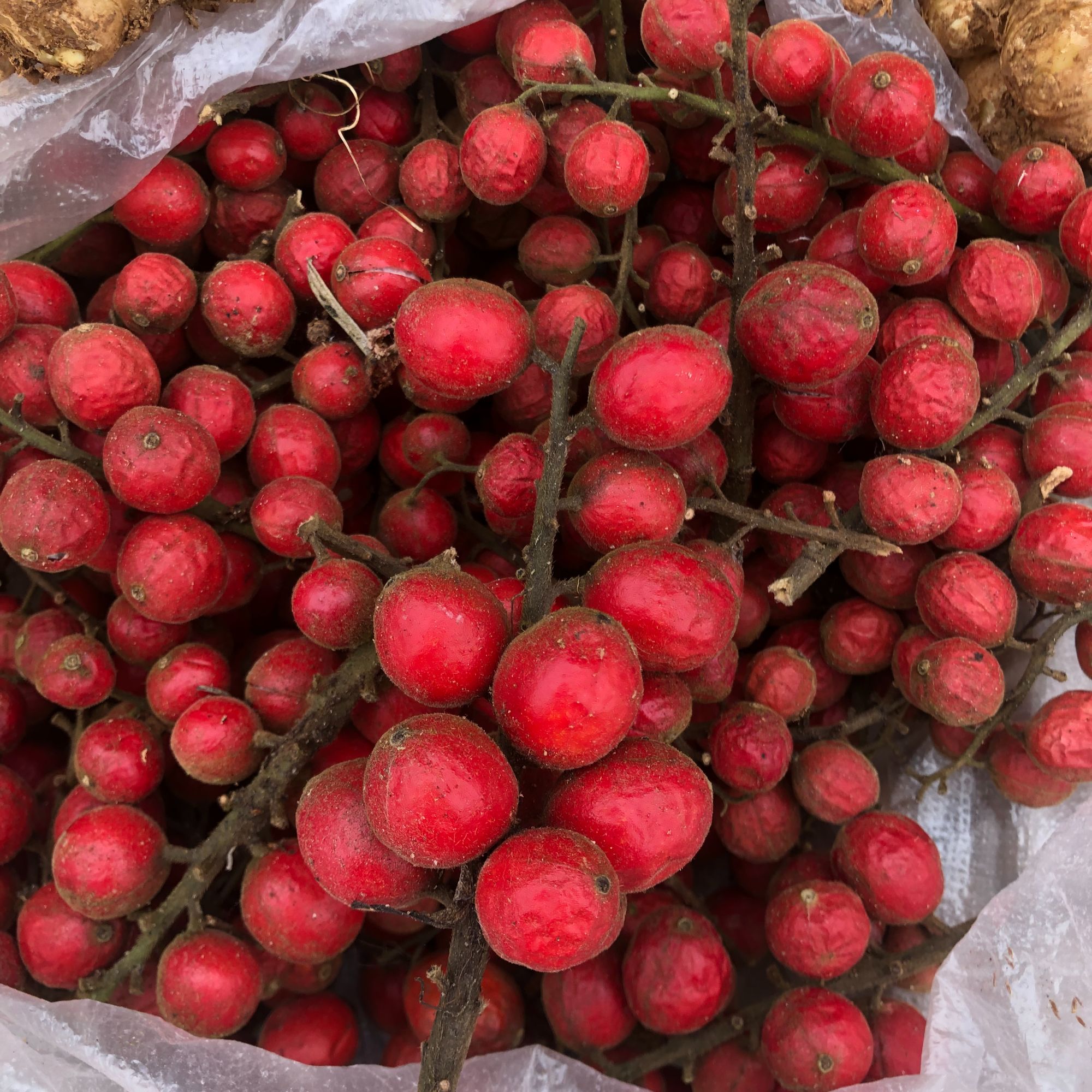 云南特产野生草果 新鲜草果  新鲜香料炖鸡汤炖排骨香料