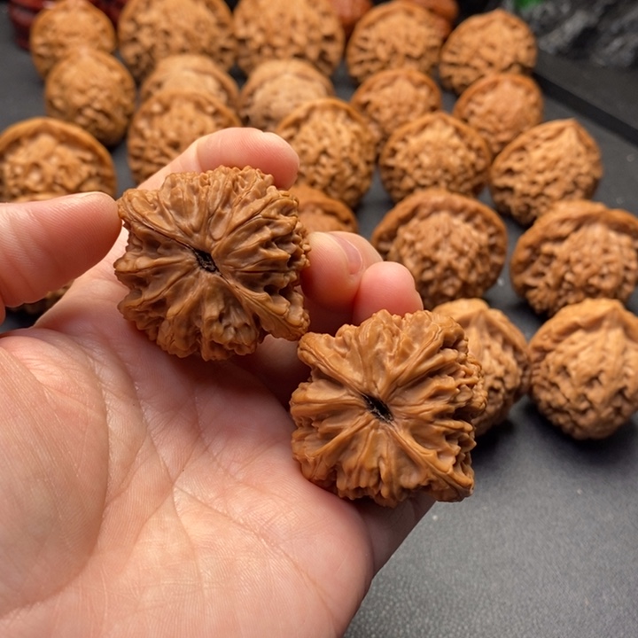 松***狮把件文玩核桃42尺金牛