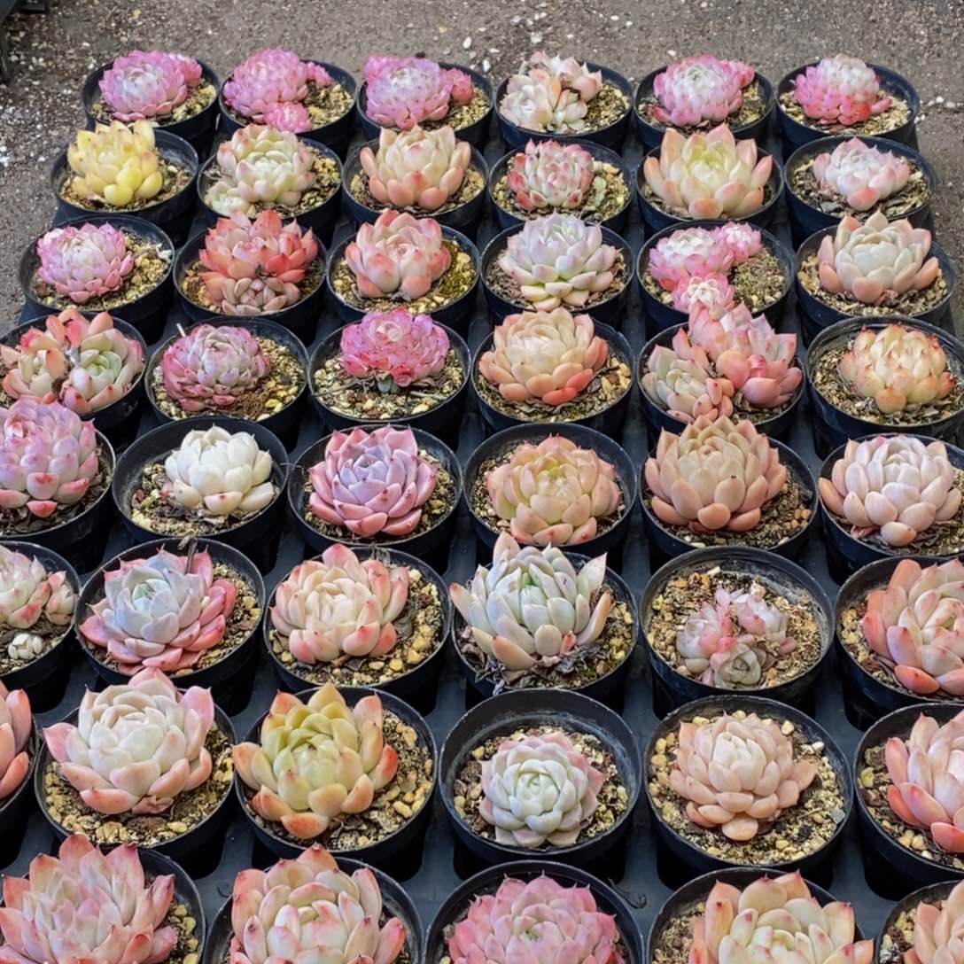 241的人在一起的时候