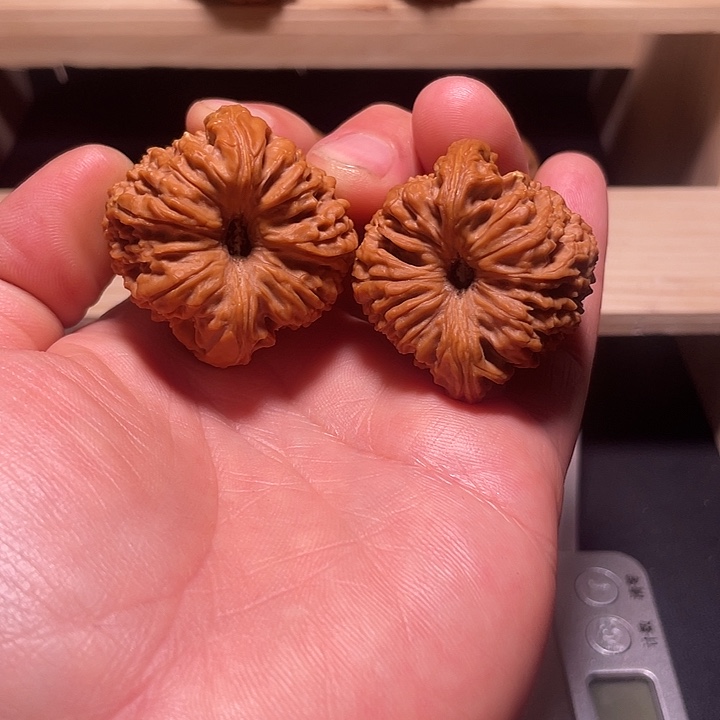 文玩核桃吊坠大凹底南疆石