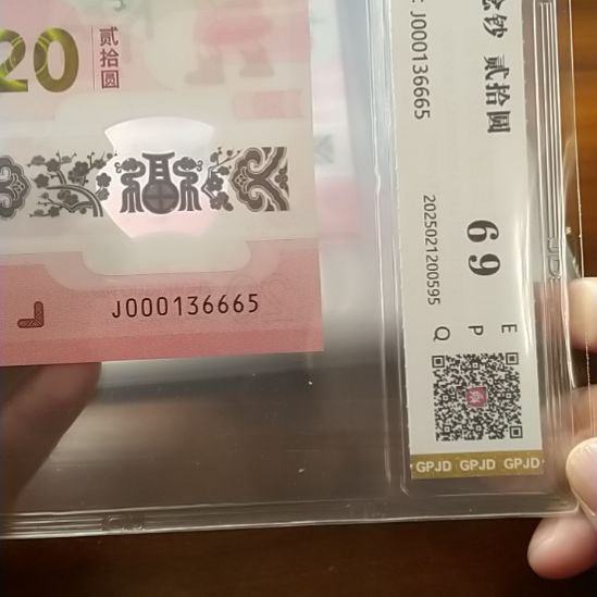 塑料蛇纪念钞 000136665 评级