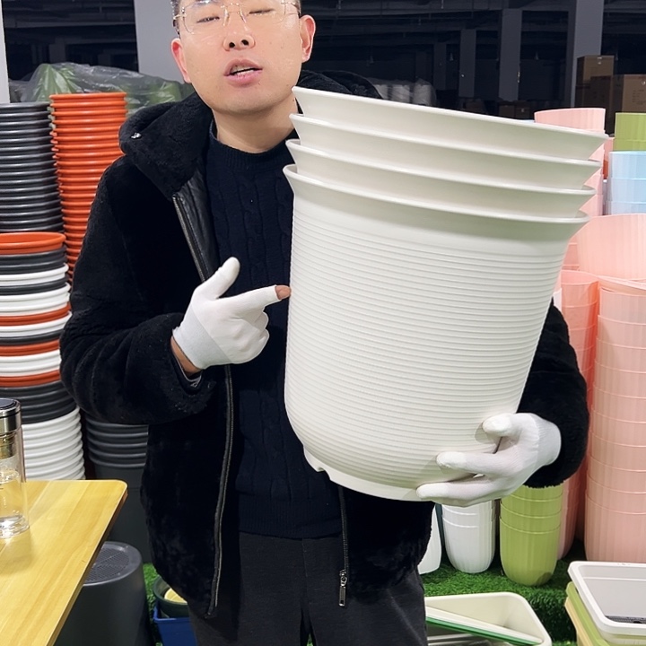 正品高陶口36高36白色2只无托