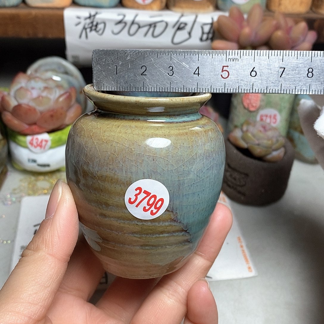 红陶拍5送一个小