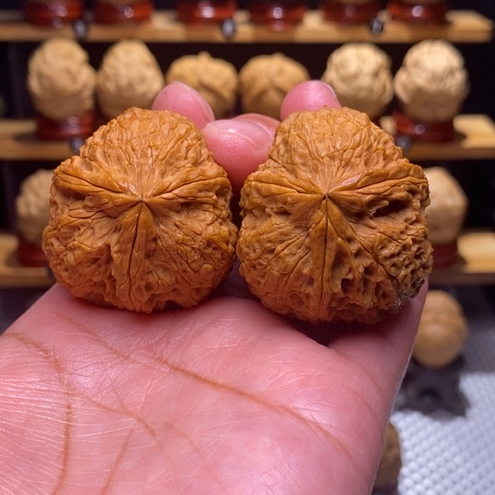 木质类云铁铁狮子三棱94号