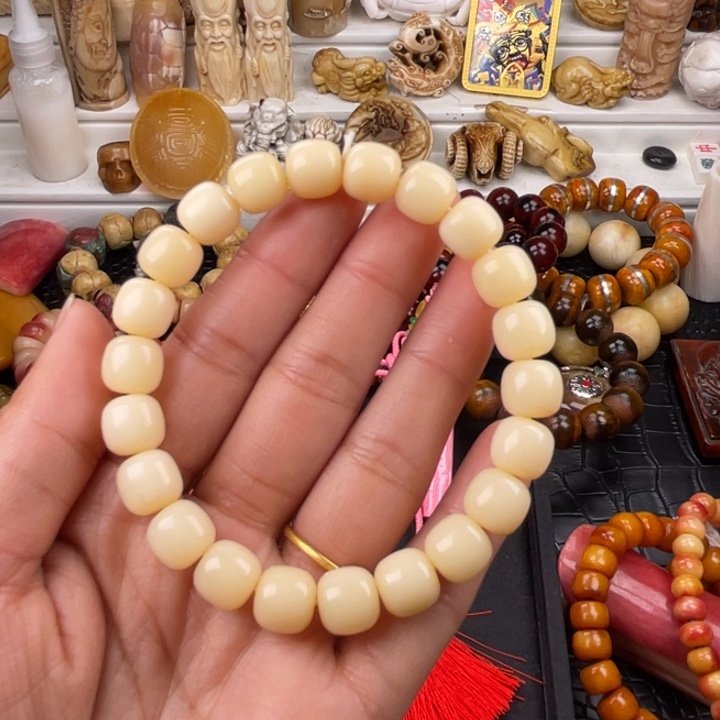 驼骨其他骆驼骨老邢10 