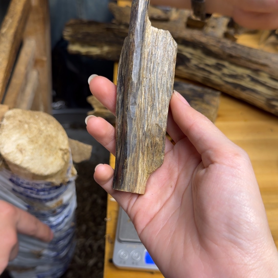 沉香手把件白棋品种块料21克