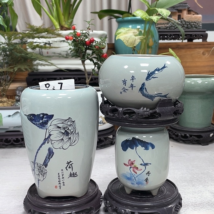 陶瓷花盆抢购活动