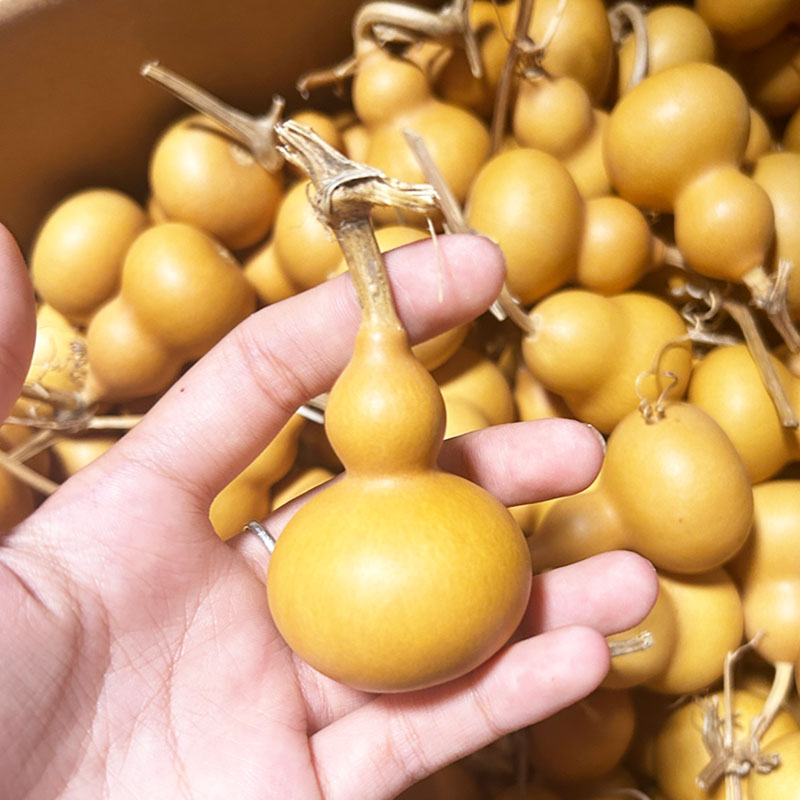 精品葫芦手把件小美果