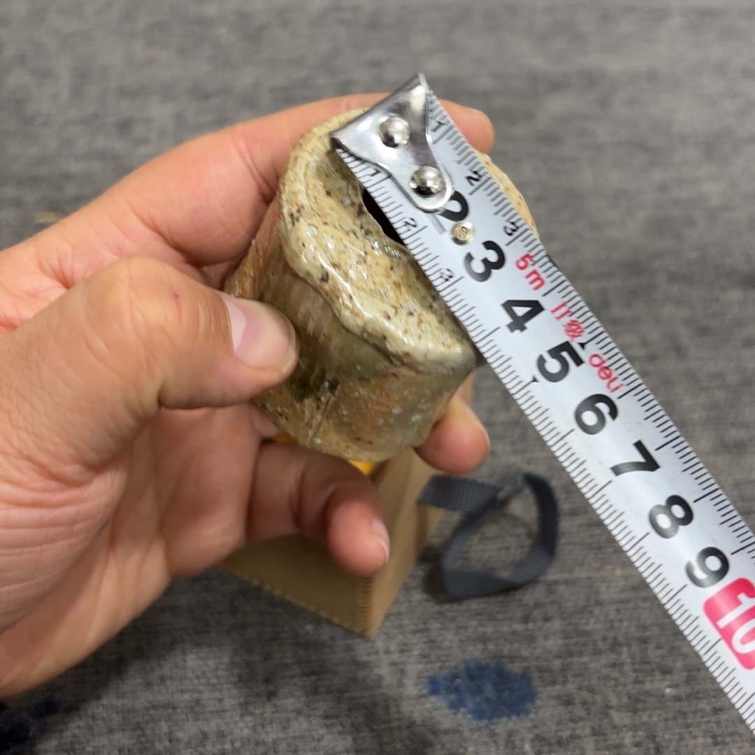 非常好看的物品 The 