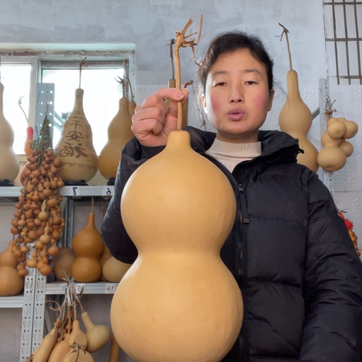 平***乐天然植物葫芦文玩