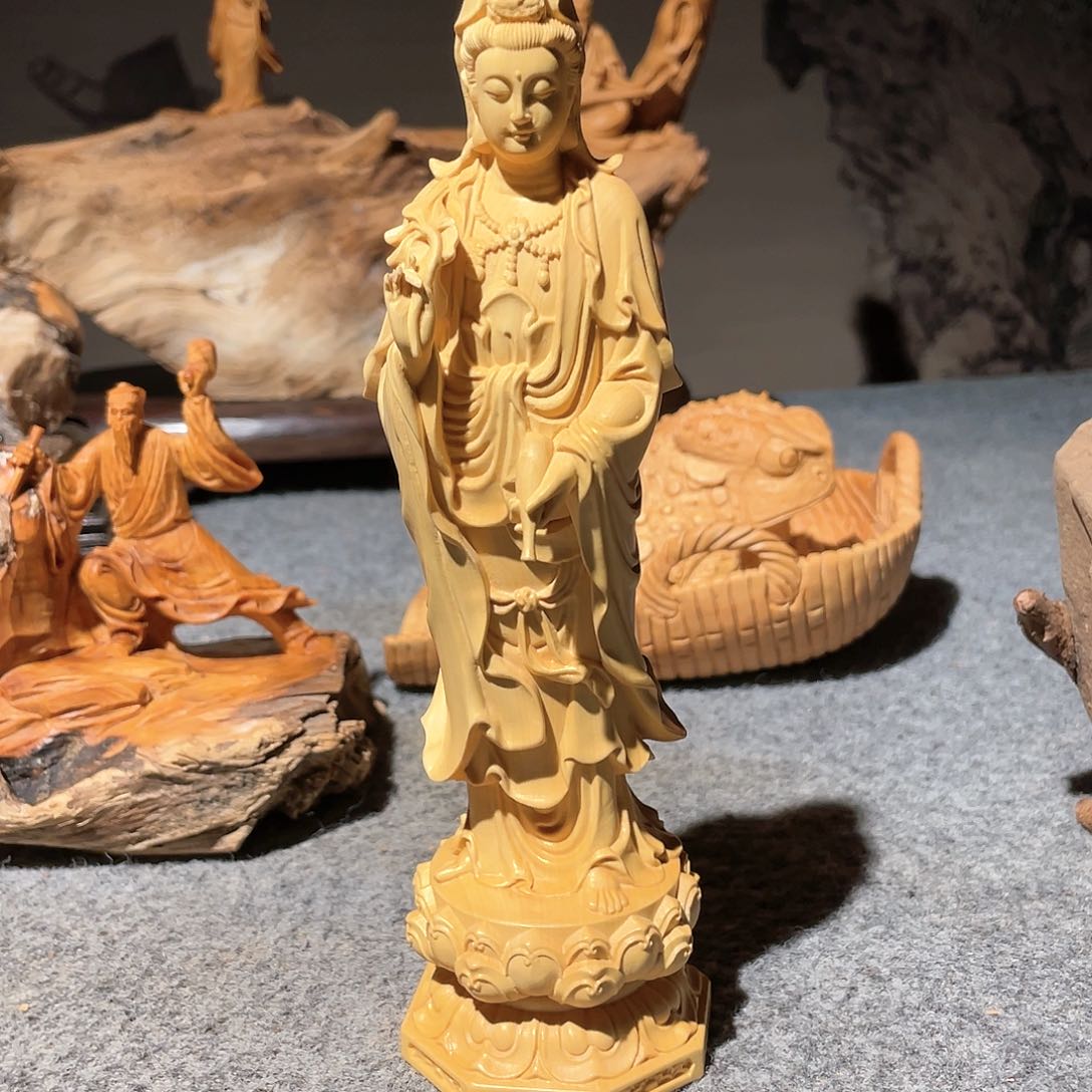 黄杨木小叶黄杨木