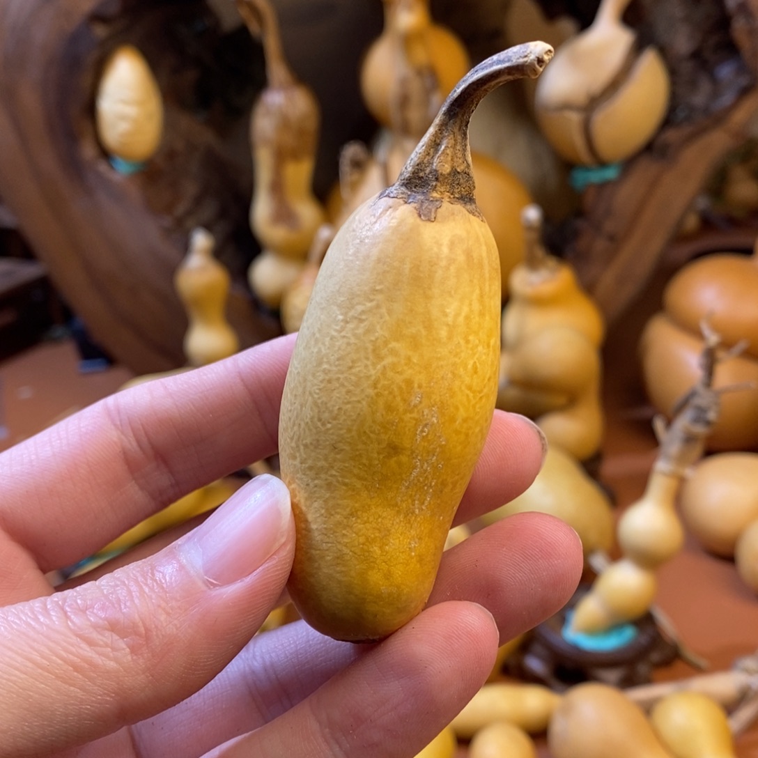 ****⁸教练教练咯哦哦哦你