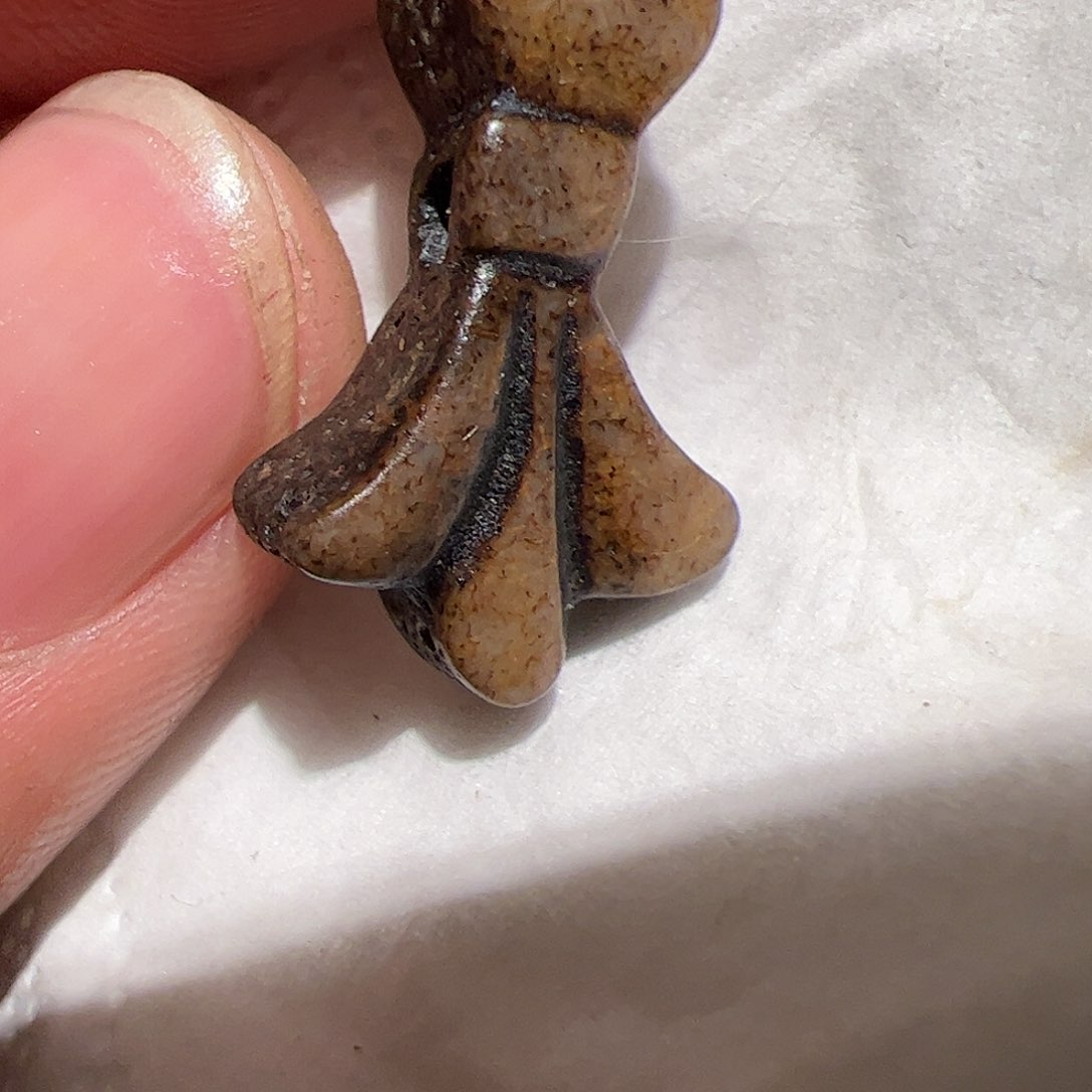 香榧木在家了一个