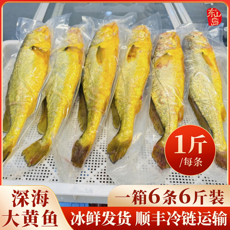 【冰鲜发货】宁德深海大黄鱼深夜捕捞一箱6条6斤装顺丰冷链包邮到家